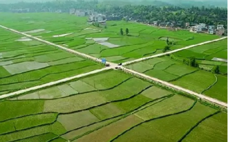 罗平县马街镇高标准农田